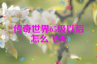 传奇世界65级以后怎么飞天