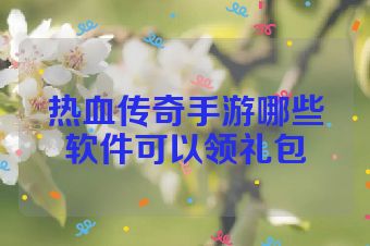 热血传奇手游哪些软件可以领礼包