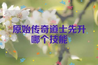 原始传奇道士先升哪个技能