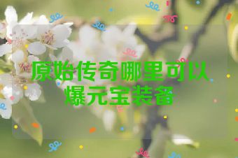 原始传奇哪里可以爆元宝装备