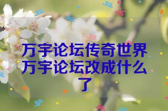 万宇论坛传奇世界万宇论坛改成什么了