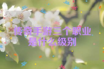 传奇手游三个职业是什么级别