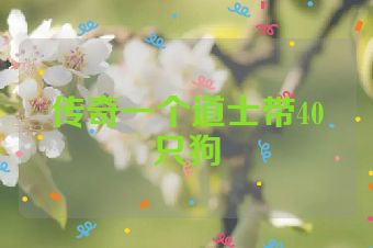 传奇一个道士带40只狗