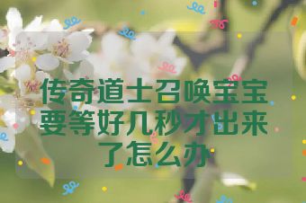 传奇道士召唤宝宝要等好几秒才出来了怎么办