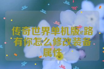 传奇世界单机版e路有你怎么修改装备属性