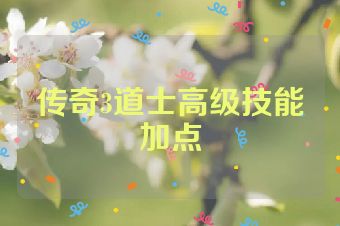 传奇3道士高级技能加点