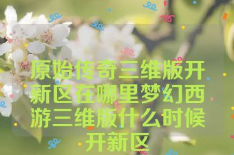原始传奇三维版开新区在哪里梦幻西游三维版什么时候开新区