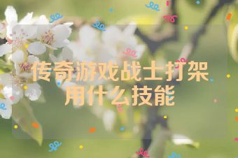 传奇游戏战士打架用什么技能