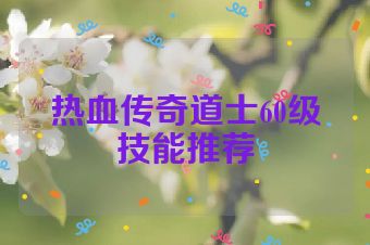 热血传奇道士60级技能推荐