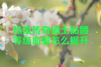 热血传奇道士骷髅等级血量怎么提升