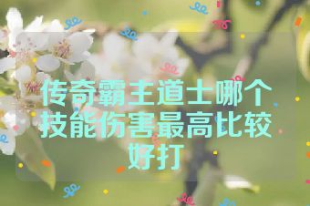 传奇霸主道士哪个技能伤害最高比较好打
