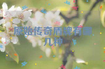 原始传奇盾牌有哪几种