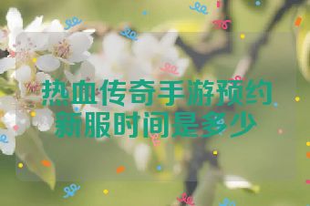 热血传奇手游预约新服时间是多少