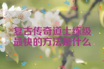 复古传奇道士练级最快的方法是什么