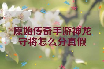 原始传奇手游神龙守将怎么分真假
