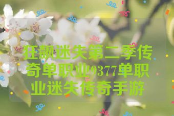 狂飙迷失第二季传奇单职业9377单职业迷失传奇手游