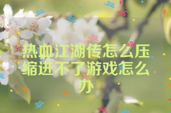 热血江湖传怎么压缩进不了游戏怎么办