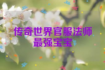 传奇世界官服法师最强宝宝