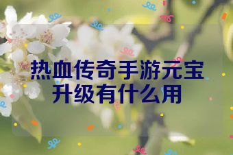 热血传奇手游元宝升级有什么用