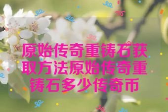 原始传奇重铸石获取方法原始传奇重铸石多少传奇币