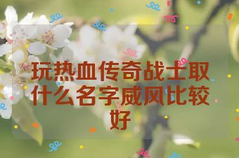 玩热血传奇战士取什么名字威风比较好