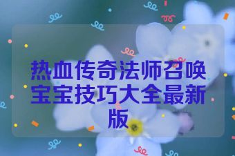 热血传奇法师召唤宝宝技巧大全最新版