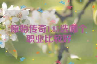 原始传奇1.85选哪个职业比较好