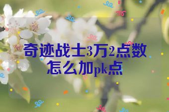 奇迹战士3万2点数怎么加pk点