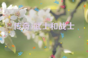 传奇4武士和战士