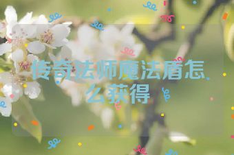 传奇法师魔法盾怎么获得