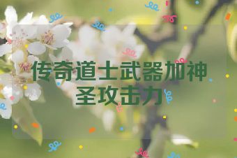 传奇道士武器加神圣攻击力