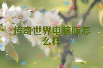 传奇世界电脑版怎么样