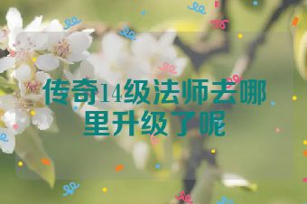 传奇14级法师去哪里升级了呢