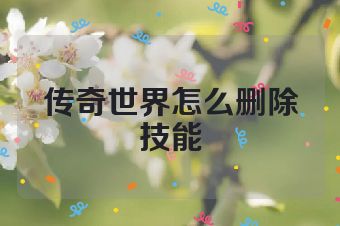 传奇世界怎么删除技能