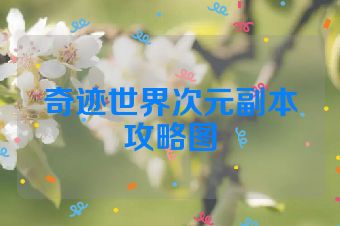 奇迹世界次元副本攻略图