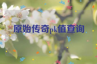 原始传奇pk值查询