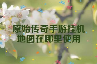 原始传奇手游挂机地图在哪里使用