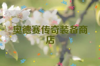 奥德赛传奇装备商店