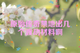 原始传奇禁地出几个渡劫材料啊