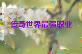 传奇世界最强职业