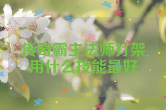 传奇霸主法师打架用什么技能最好