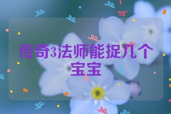 传奇3法师能捉几个宝宝