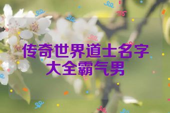 传奇世界道士名字大全霸气男