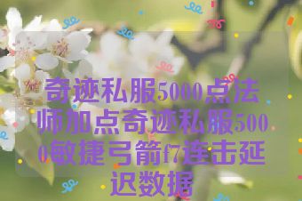 奇迹私服5000点法师加点奇迹私服5000敏捷弓箭f7连击延迟数据