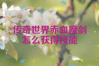 传奇世界赤血魔剑怎么获得技能