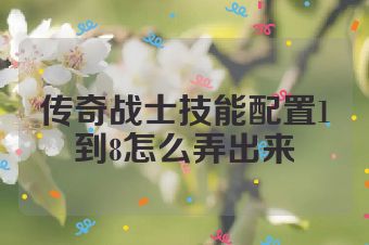 传奇战士技能配置1到8怎么弄出来