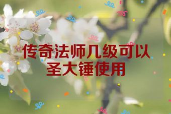 传奇法师几级可以圣大锤使用
