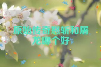 原始传奇怒斩和屠龙哪个好