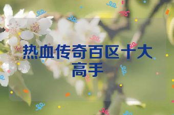 热血传奇百区十大高手