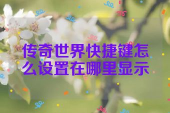 传奇世界快捷键怎么设置在哪里显示